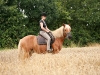 amStall201008