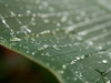 Botanischer Garten 2nd