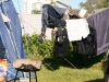 Fehmarn Mai 2009