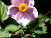 makro2