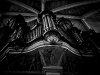 img_6533