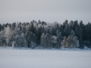 img_9414
