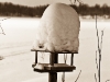 Schweden 2010