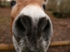 img_8145