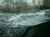img_8192