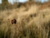 img_8321