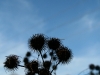 TierparkNov09