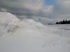 Winter2010